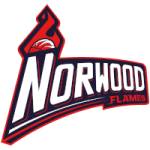 诺伍德火焰女篮